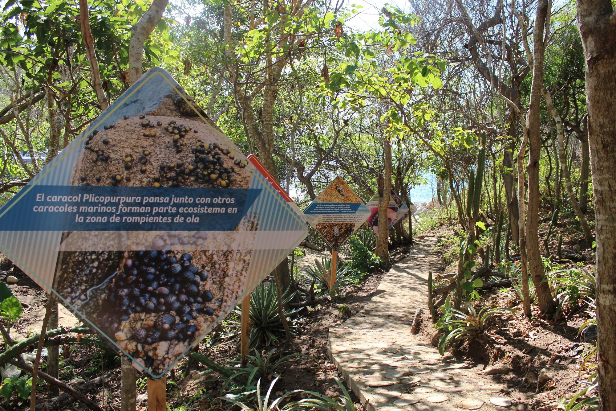 Isla Natura Beach Huatulco Santa Cruz Huatulco Eksteriør bilde
